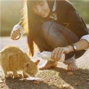 非主流女生唯美头像 伤感,独自远走看不到尽头