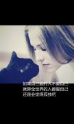 2015唯美文字qq皮肤