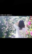 文字皮肤大图