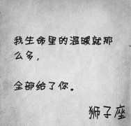 简约星座文字皮肤