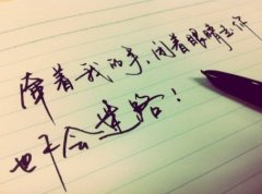 简约的文字皮肤