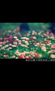 最新的个性文字图片