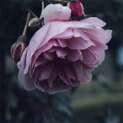 ںŸԿռ Ʒ˼˭֪
