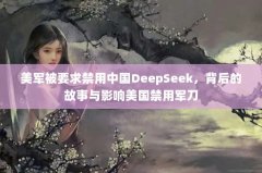 ҪйDeepSeekĹӰþ
