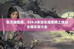 ްԵǳ439.8׶߶鳵ʹȫ