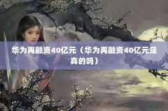 Ϊ40ԪΪ40Ԫ