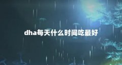 dhaÿʲôʱ