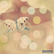 非主流唯美意境图片:我们一起走过的