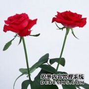 不知不觉花已开唯美图片