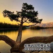 唯美图片我找不到解药