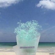 白以南:你是我的梦像北方的风