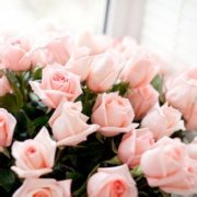 唯美花朵头像图片,花海世界满是情