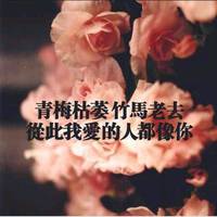 ȫqqͷ밮