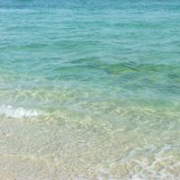 ɫɳ̲ΨͼƬͷ