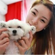 qq可爱女生头像抱着熊,抱着泰迪的女生头像