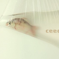 㰮7ǣһ@