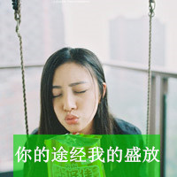 Ψqqͷ񻨶Ϊ ɫ@