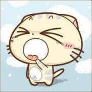 江户cc猫