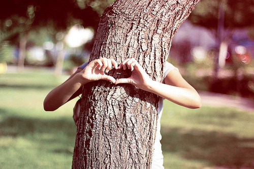 qq˵˵Ҳʧȥ