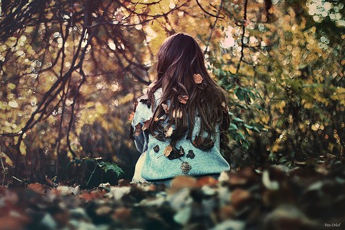 2015Ц˵˵