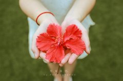 2015˵˵ȫ