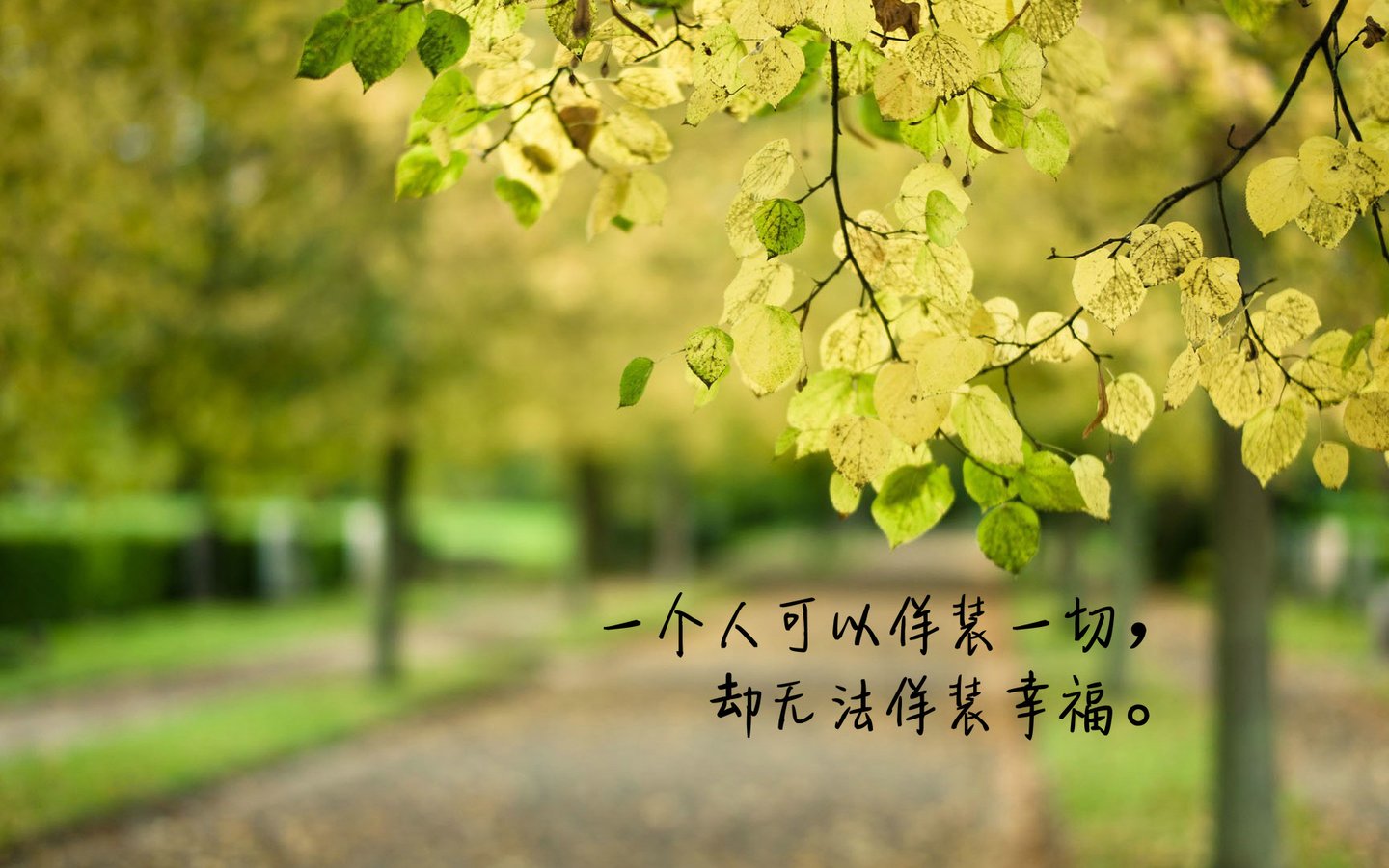 2015ΨͼƬ