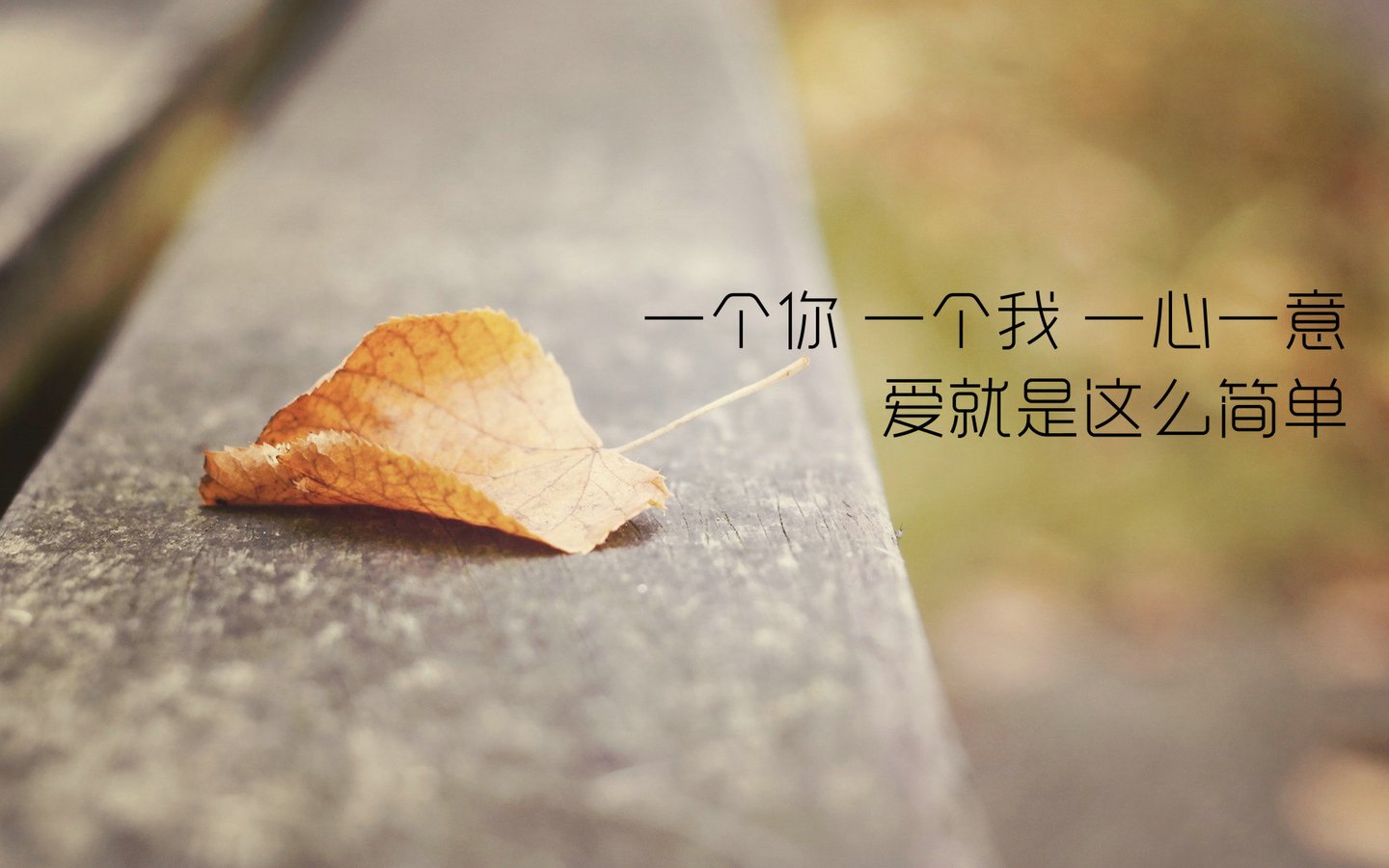 2015ΨͼƬ