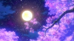 樱花唯美意境图片大全@二次元