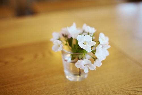 yyǩ˵˵