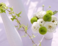 唯美花图片大全