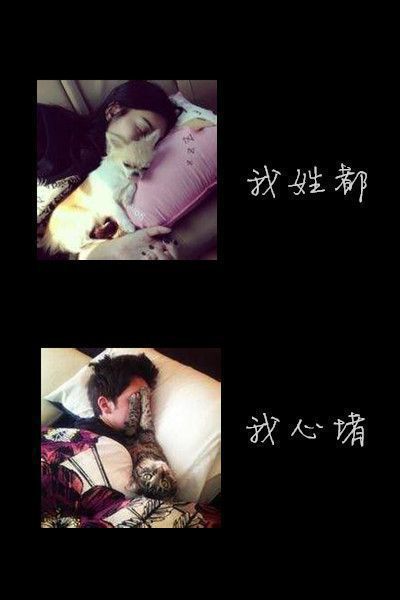 唯美情侣qq皮肤