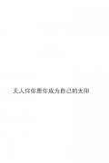 v8简约皮肤免费下载