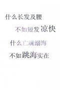 v8简约皮肤