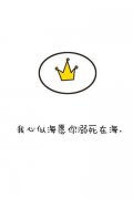 qq经典简约皮肤