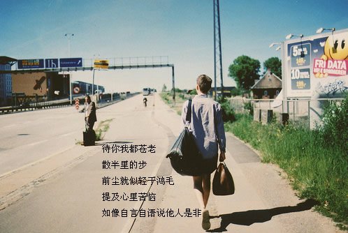 qq˸дͼƬ
