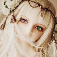 sd޿ͨͷ