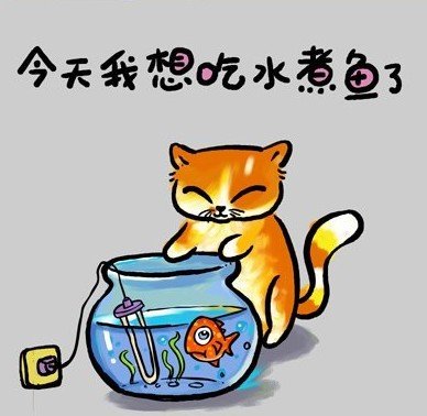 زͼƬ