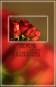 红色背景女生qq皮肤