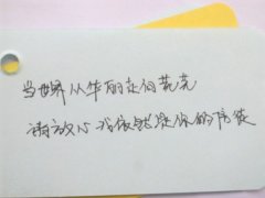 白色背景文字图片