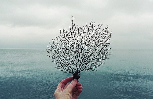 ǽֽŷͼƬȫ