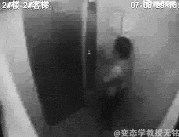 ̬ѧgifͼǰ룩 gif̬ͼƬ