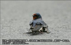 伤感而又感人的爱情大图