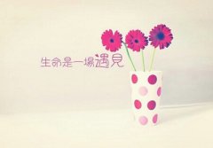 ֮ңȽϰԼ