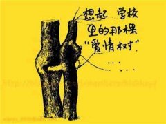 另类重口味带字卡通图片