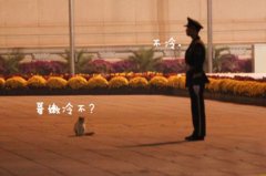 搓手猫与兵哥哥对话图片