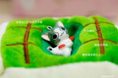私房猫可爱表情图片