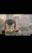 痛到会哭的伤感文字图片