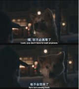触痛心底的伤感文字图片