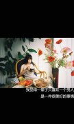 那种黑色框框复古文字皮肤