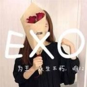 个性自制exo女生头像